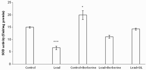 Figure 4 Effects of long-term berberine administration on SOD activity in liver homogenates of control, lead, berberine (50 mg/kg) treated control (Control + Berberine), berberine (50 mg/kg) treated lead (Lead + Berberine), and silymarin (200 mg/kg) treated lead (Lead + SIL) groups (n = 7) at 8 weeks after treatments. The data are represented as mean ± SEM. *P < 0.05 and ***P < 0.001 (as compared to control group).