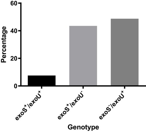 Figure 2 Distribution of exoU, exoS genotypes among MDR P. aeruginosa isolates.
