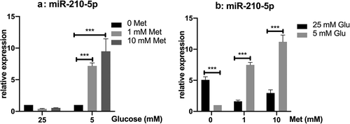 Figure 2. Relative expression of miR-210-5p in PANC-1 cells treated with metformin in high and low glucose conditions.