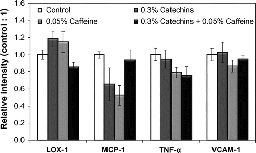 Fig. 6. Effects of catechins and/or caffeine on mRNA expression levels of LOX-1, MCP-1, TNF-α, and VCAM-1 in the aorta of mice. Each value shows the relative intensity when the value of the control group was one. Values are means ± SE.