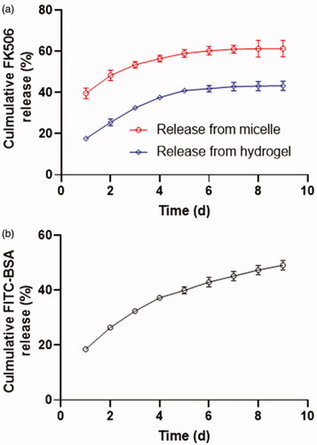 Figure 3. the invitro release profile of FK506 (a) and the FITC-BSA (b).