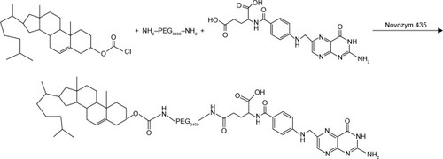 Figure 1 The synthesis of FA–PEG–Chol.