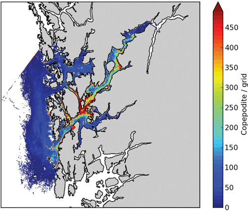 Figure 7. Aggregated density of salmon lice copepodids from a source in the outer part of the Hardangerfjord (red diamond) for the period 2 May to 9 June 2007.