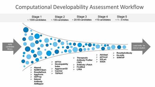 Figure 2. Computational developability assessment workflow for screening mAbs with optimal biophysical properties. An orthogonal combination of conceptually different algorithms is used to reduce method-specific biases. High-throughput antibody informatics tools are implemented first to an antibody library. mAbs scoring above assay thresholds or having results outside the acceptable range are deprioritized. Next, more computationally intensive antibody informatics tools are applied to evaluate additional developability issues. The final step in the CDA workflow is to use a combinatorial triage approach to combine scores and rankings from multiple tools together and classify the mAbs based on the aggregate result of all tools.Figure 2. Funnel flowchart with mAbs shown in blue dots and tools listed for each stage of developability assessment.