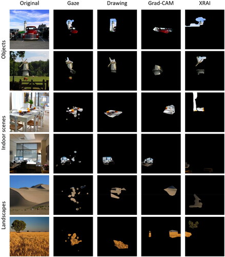 Figure 1. Stimulus examples for each combination of segment type and image type.