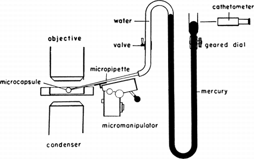 Figure 18. Schematic representation of cell elastometer. (From Jay and Edwards, 1968. Courtesy of the National Research Council of Canada.)