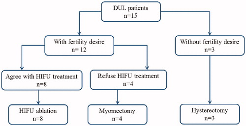Figure 1. CONSORT flow diagram of the enrollment and data analysis of patients with diffuse uterine leiomyomatosis treated with HIFU.
