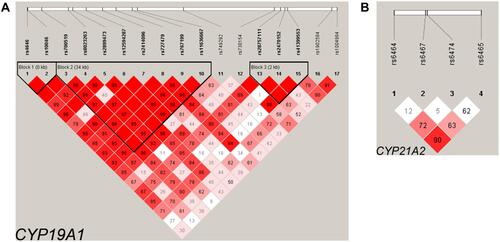Figure 1 Linkage disequilibrium (LD) structures of the CYP19A1 gene (A) and the CYP21A2 gene (B) in controls from Yunnan Province in China. The results are based on the data obtained in this study. Red squares represent high LD as measured by D’, which gradually desaturate to white squares of low LD. Individual squares show the 100 × D’ value for each SNP pair.