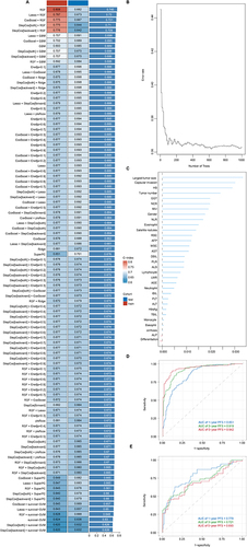 Figure 2 The computational framework for machine learning algorithms. (A) A combination of 101 machine learning algorithms was generated by synthesizing the computational framework. The C-index of each model was calculated through the training and validation cohorts and sorted by the average C-index. (B) Prediction error rates. (C) Ranking of variable importance (VIMP) of features. (D–E) ROC curve and AUC of the RSF model in the training cohort (D) and validation cohort (E).