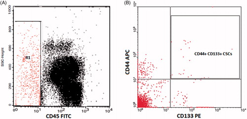Figure 2. Flow cytometric detection of circulating cancer stem cells. (A) The CD45− cells (R1) were selected. (B) The expression of CD44 and CD133 was assessed on CD45− cells to detect the circulating cancer stem cells (CSCs).