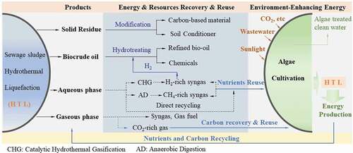 Figure 5. Synergistic combination of sewage sludge HTL and algae cultivation to maximize the economic and environmental benefits and energy sustainability of the HTL process