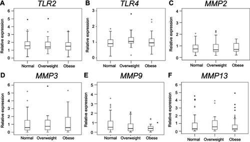 Figure 2 Effect of obesity on TLR and MMP expression in the synovium. TLR2 (A), TLR4 (B), MMP2 (C), MMP3 (D), MMP9 (E) and MMP13 (F) expression in normal, overweight, and obese groups.