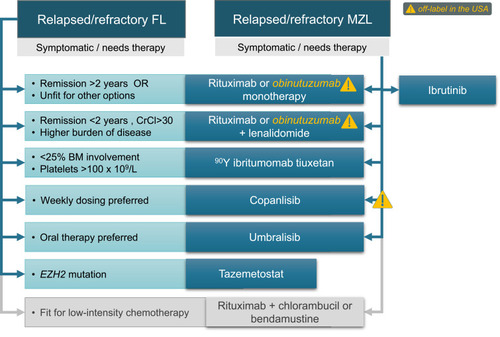 Figure 2 FDA-approved chemotherapy-free options for relapsed or refractory FL or MZL (note that some options are off-label in the USA for either one or both histologies).