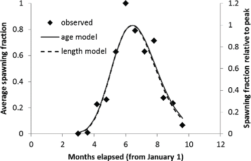 FIGURE 3. Average observed spawning fraction of Red Snapper (primary axis) compared with model predictions of relative proportion of females with spawning markers (secondary axis) by time of year for age-based and length-based models.