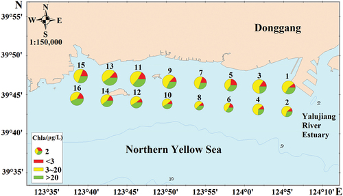 Figure 4. Distribution of different size-fractioned phytoplankton biomass in Yalu River Estuary, China.