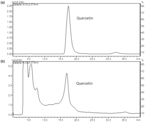 Figure 7. (a) HPLC choromatographic separation of quercetin standard. (b) Separation of quercetin in okra hydroalcoholic extract. For chromatographic conditions, see experimental procedures.