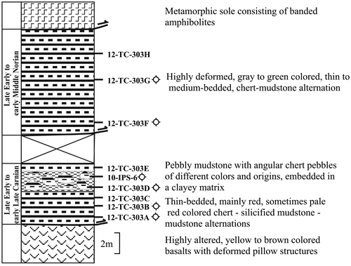 Figure 3. Log of the Pelitören section and sample locations.