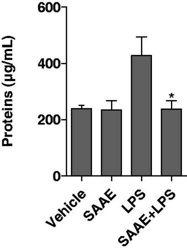 Figure 6. Effect of SAAE on the protein concentration of mouse bronchoalveolar lavage fluid (BALF). Protein was measured in BALF 24 h after intra-tracheal instillation of lipopolysaccharide (LPS 5 µg/mouse) or in controls. LPS induced a massive increase in the protein content, which was significantly attenuated by SAAE (200 mg/kg) (n = 8, mean ± SEM, *p < 0.05).