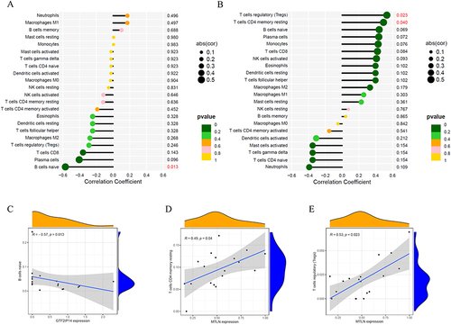 Figure 8 Correlation analysis of hub genes and immunity. (A) Lollipop map of the correlation between GTF2IP14 and immune cells (Values with p < 0.05 have been marked in red); (B) Lollipop map of the correlation between MTLN and immune cells (Values with p < 0.05 have been marked in red); (C) Scatter plot of the correlation between GTF2IP14 and naive B cells; (D) Scatter plot of the correlation between MTLN and Tregs; (E) Scatter plot of the correlation between MTLN and resting memory CD4+ T cells.