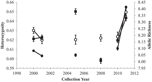 Figure 3. Observed heterozygosity (filled circles), expected heterozygosity (open circles), and allelic richness (squares) for Spotted Seatrout in the Charleston Harbor system for each collection year. Lines connect points in consecutive years; error bars = SEs.