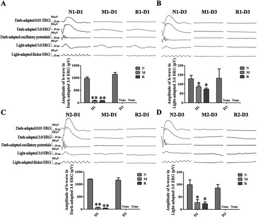 Figure 1. RSV-induced effect on retinal function in MNU-administered rats. A, B: Representative waveforms and plot of the b-wave amplitudes of Dark-adapted and Light-adapted ERG of rats with RSV intervention of the first mode at 1 d (A) and 3 d (B) after MNU administration; C, D: Representative waveforms and plot of the b-wave amplitudes of Dark-adapted and Light-adapted 3.0 ERG with RSV intervention of the second mode at 1 d (C) and 3 d (D) after MNU administration. (n = 3; *P < 0.05, **P < 0.01: vs. N group; None: no detection).