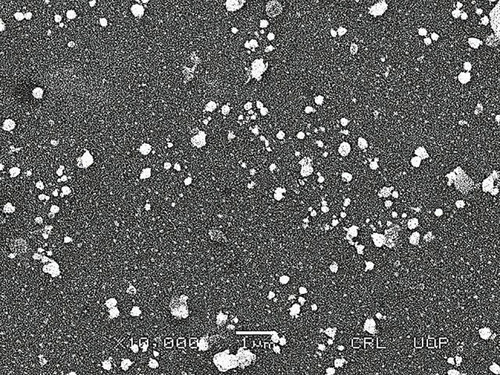 Figure 3 SEM micrograph of MMF-loaded βCD facilitated SLNs, illustrating nanosized particles with smooth spherical shape.