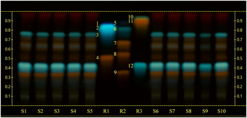 Figure 1. High‑performance thin‑layer chromatography (HPTLC) carried out using a mobile phase consisting of ethyl acetate-formic acid-glacial acetic acid-water (100:11:11:26), derivatized with natural products-polyethylene glycol reagent (NP/PEG) and observed at UV 366 nm. S1, S2, S3, S4, S5, S6, S7, S8: sea fennel whole sprouts; S9 sea fennel stems; S10: sea fennel leaves. R1: reference compounds mix 1 (1: protocatechuic acid; 2: esculetin; 3: gallic acid; 4: hyperoside); R2: reference compounds mix 2 (5: ferulic acid; 6: rosmarinic acid; 7: quercitrin; 8: quercetin-3-O-glucoside; 9: rutin); R3: reference compounds mix 3 (10: kaempferol; 11: quercetin; 12: chlorogenic acid).