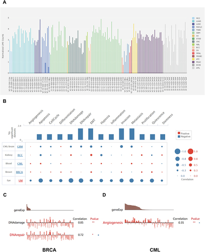 Figure 9 Single-cell analysis of MRC1 expression and potential function in cancers. (A) Boxplot depicting the relative expression levels of MRC1 in 18 different tumor cell types obtained from single-cell sequencing data. Higher boxes indicate higher average expression levels. (B) The functional enrichment analysis of genes significantly correlated with MRC1 expression in 5 different cancer types. (C and D) Bar plots showing the detail functional enrichment in BRCA and CML.*P<0.05; **P<0.01.