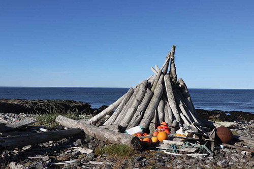 Figure 3. Harvested material, Omgang, Norway. Copyright: Þóra Pétursdóttir.