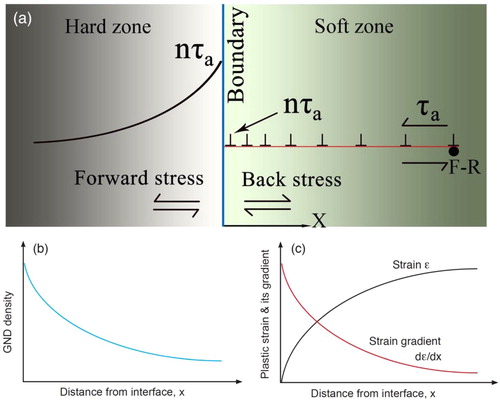 Figure 1. (a) Schematic diagrams of a GND pile-up from a Frank-Read dislocation source, inducing the back stress in the soft zone, which in turn induces the forward stress in the hard zone [Citation2]. (b) GND density gradient caused by the GND pile-up near the interface (zone boundary). (c) The strain and positive strain gradient caused by the GND pile-up near the interface (zone boundary).
