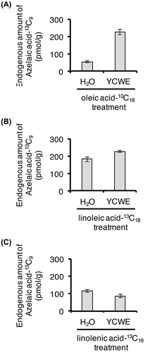 Fig. 4. Endogenous amounts of AzA-13C9 in rice cell suspension cultures treated with oleic acid-13C18 (A), linoleic acid-13C18 (B), and linolenic acid-13C18 (C).