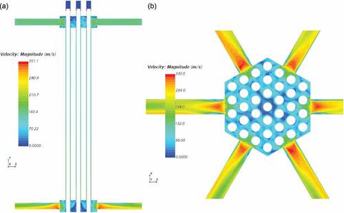 Fig. 19. (a) Side view and (b) bottom view in the lower plenum of air velocity profiles.