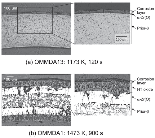 Figure 3. Metallographs of the transverse cross-sections of the high-burnup M-MDA cladding tube specimens after being oxidized at 1173 K for 120 s and 1473 K for 900 s (as etched).