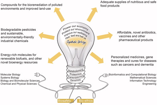 Figure 1. The emerging science of Synthetic Biology originates from the recent convergence of several “wet” biomolecular, chemical and physical sciences, and “dry” mathematical and computational sciences, information technologies, and engineering. This is a twenty-first-century transdisciplinary science, which is barely 15 years old. This futurist and transformative technology holds the potential to improve quality of life and sustain the planet in very significant ways.