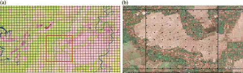 Figure 7. (a) A 250 m fishnet (Moderate Resolution Imaging Spectroradiometer (MODIS) pixel size) overlaid with Landsat Enhanced Thematic Mapper Plus (ETM+) and (b) cell on high-resolution image with 100-point dot grid overlay.