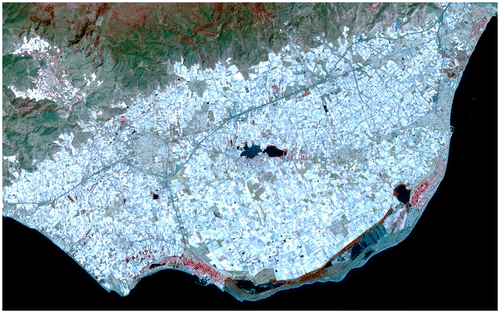 Figure 2. Satellite photo of Campo Dalías, Almería. Source: NASA Jet Propulsion Laboratory (Citation2011).