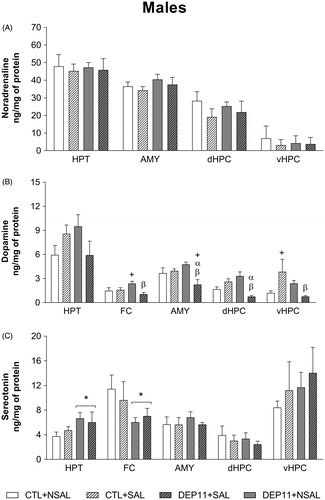 Figure 7. Basal monoamine levels in the hypothalamus (HPT), frontal cortex (FC), amygdala (AMY), dorsal hippocampus (dHPC), and ventral hippocampus (vHPC) of male rats. (A) Noradrenaline. (B) Dopamine. (C) Serotonin. *Different from the respective CTL group. + Different from CTL + NSAL. α Different from CTL + SAL. β Different from DEP11 + NSAL.CTL, control, non-deprived group; DEP11: maternally-deprived on postnatal day 11; NSAL: group not saline injected; SAL: group injected with saline on postnatal day 12. Data are presented as mean ± S.E.M. of 7–10 animals/group.