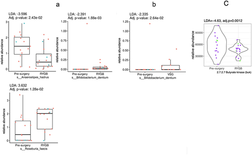 Figure 4. Box plots representing different fecal butyrate-producing bacteria pre-surgery compared to: (a) Roux-en-Y gastric bypass (RYGB); and (b) vertical sleeve gastrectomy (VSG). (c) represents the violin plot for the significantly different butyrate-producing enzyme functional potential (DNA gene copy) after RYGB compared to pre-surgery (no other enzymes were different after RYGB or after VSG). Difference in abundance is measured using linear discriminant analysis (LDA). P values adjusted for multiple comparisons. Red or purple dots represent females and blue or green dots, males.
