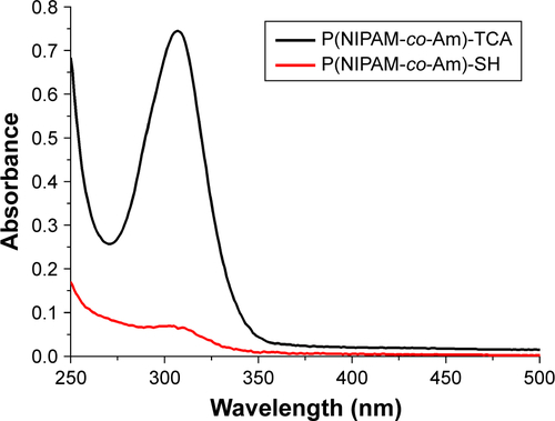 Figure S4 UV–Vis spectra of poly(NIPAM-co-Am) copolymers (PM, black line) and the aminolysis polymer P(NIPAM-co-Am)-SH (PM-SH, red line) at the concentration of 1 mg/mL in ethanol. The aminolysis of poly(NIPAM-co-Am) copolymer was conducted in the presence of butylamine in 1,4-dioxane at 25°C.Abbreviations: Am, acrylamide; NIPAM, N-isopropylacrylamide; PM, copolymer of N-isopropylacrylamide and acrylamide; SH, sulfydryl; UV, ultraviolet; Vis, visible.