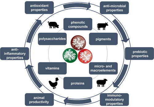 Figure 1. The general scheme of seaweed antioxidants and their effect on animal health and performance.