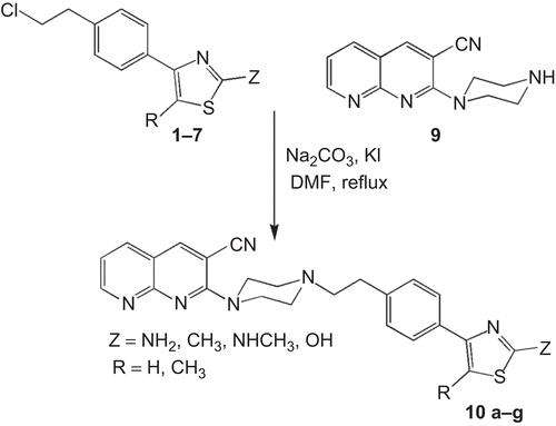 Scheme 3.  Synthesis of 2-{4-[4-(2,5-disubstituted thiazolyl)phenylethyl]piperazin-1-yl}-1,8-naphthyridine-3-carbonitriles (10a–g).