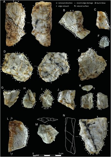 Figure 11. EDAR 155, tools. A, C) Denticulates, B, D, H) sidescrapers, E, I) perforators, F) endscraper, G, J) retouched flakes, K–L) composite tools, M) Levallois flake, and N) Nubian Levallois flakes; all quartz. Photos: M. Jórdeczka.