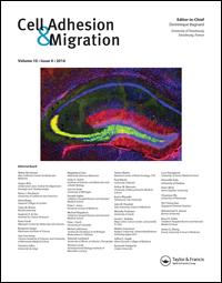 Cover image for Cell Adhesion & Migration, Volume 13, Issue 1, 2019