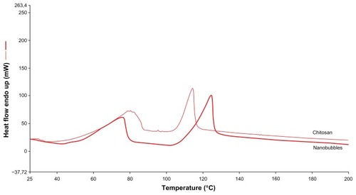 Figure 3 Differential scanning calorimetry profile of chitosan solution and chitosan nanobubbles.