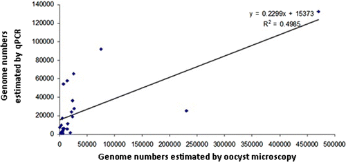 Figure 1.  Determination of Eimeria species genome numbers within faecal samples: correlation between direct microscopy of oocysts and qPCR with DNA extracted using the Qiagen DNA Stool kit method.