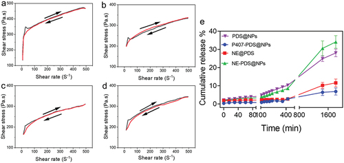 Figure 9. Flow curvature changes the shear rate as a function of the shear stress of poloxamer 407 hydrogel at 32.5°C. a) Control hydrogel (P407), b) hydrogel containing PDS (P407-PDS), c) hydrogel containing PLGA-NPs (P407-CTL@NPs), d) hydrogel containing PDS-loaded PLGA-NPs (P407-PDS@NPs). e) Drug release of PDS from the PLGA-NPs and NPs incorporated into hydrogels.