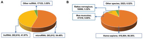 Figure 3. The data distribution in ncRPheno. (A) The distribution of ncRNA-disease associations across different classes of ncRNAs. The ‘Others’ ncRNAs include circRNA (15,257 associations; 3.16%), piRNA (1282; 0.27%), and snoRNA (584; 0.09%). (B) The distribution of ncRNA-disease associations across species. The ‘Others’ species include Macaca mulatta (739 associations; 0.15%), Sus scrofa (715; 0.15%), Pan troglodytes (654; 0.14%), Callithrix jacchu (180; 0.037%), Gallus gallus (150; 0.031%), Canis familiaris (45; 0.009%), Danio rerio (28; 0.006%), and Oryctolagus cuniculus (12; 0.002%).