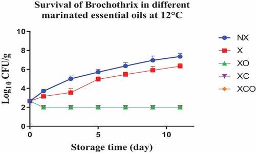 Figure 12. Population increase of Brochothrix (log10 CFU/g ± SEM) in different marinated essential oils samples after storage for 0, 1, 3, 5, 7, 9, and 11 days at 12°C. NX-Non marinated, X- Marinated, XO- Marinated +Oregano oil, XC- Marinated +Citrox, XCO- Marinated + Citrox+ Oregano oil.
