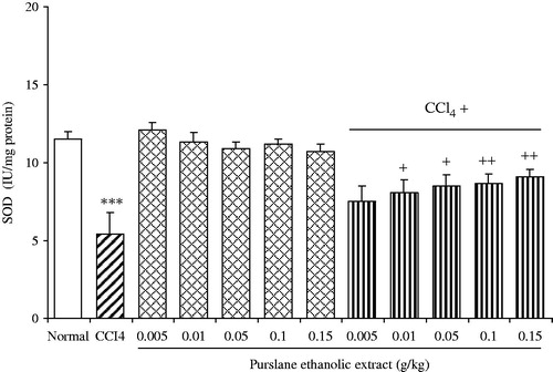 Figure 2. Effect of oral administration of purslane extract at doses of 0.005, 0.01, 0.05, 0.1, and 0.15 g/kg bw on SOD activity in the liver of CCl4-treated rats. Each column represents mean ± S.E.M. of data from nine rats. Normal control group was administered distilled water as a vehicle. The symbol ***represents p < 0.001 compared with the normal control group, whereas + and ++ represent p < 0.05 and p < 0.01 compared with the CCl4-treated group.