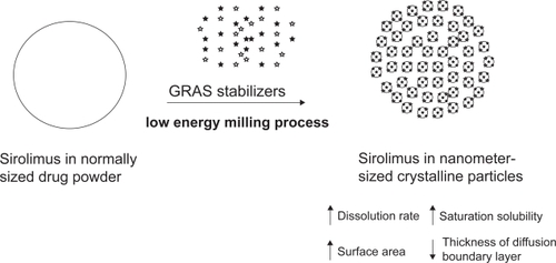 Figure 2 The nanocrystalline sirolimus system. Generally recognized as safe (GRAS) stabilizers were milled with sirolimus into nanocrystal particles by NanoCrystal® technology.